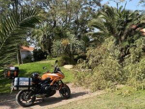 00dc5603 c098 45ab ba83 5951b8a5dc58 300x225 1