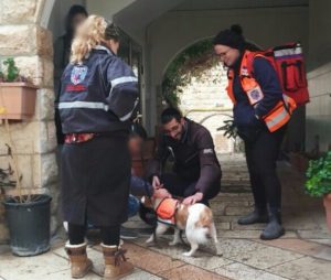 Lucy responded to her first call on Sunday in Jerusalem, at an apartment fire in Gilo
