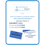 SA flyer