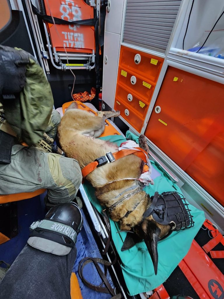 https://israelrescue.ca-east.onfullhost.cloud/app/uploads/2023/10/image-20231015091437-295172804-768x1024.jpeg