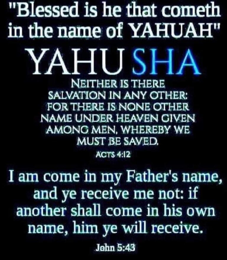 https://israelrescue.ca-east.onfullhost.cloud/app/uploads/2023/12/image-20231224030655-2819224299-768x876.jpeg