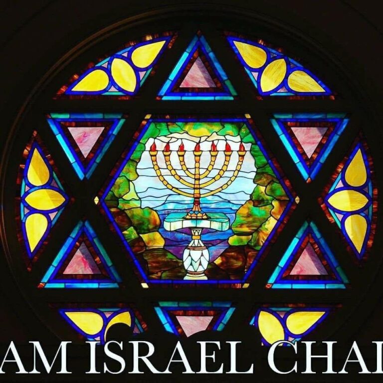 https://israelrescue.ca-east.onfullhost.cloud/app/uploads/2023/12/image-20231224030724-130324025-768x768.jpeg